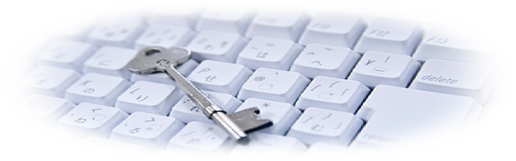 グリーンフィールドファーム ハヤシ農園 林農園 茨城県 結城市 野菜 農園