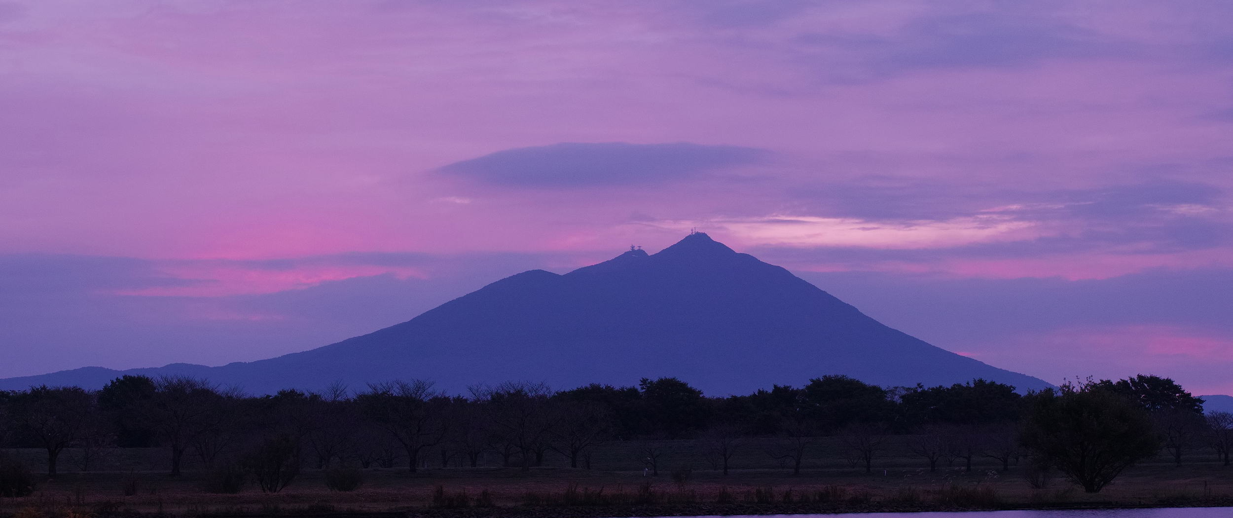 グリーンフィールドファーム ハヤシ農園 林農園 茨城県 結城市 野菜 農園
